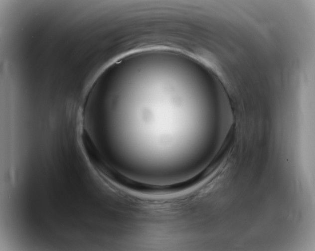 X0000090751524200707201439