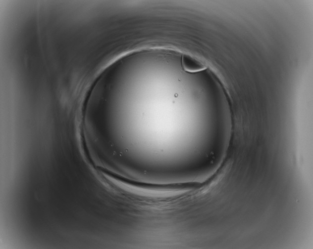 X0000090751525200707201439