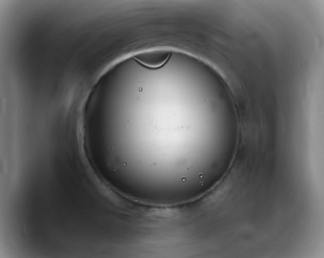 X0000090751526200707201439