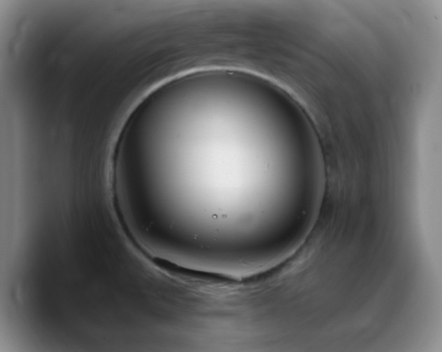 X0000090751527200707201439