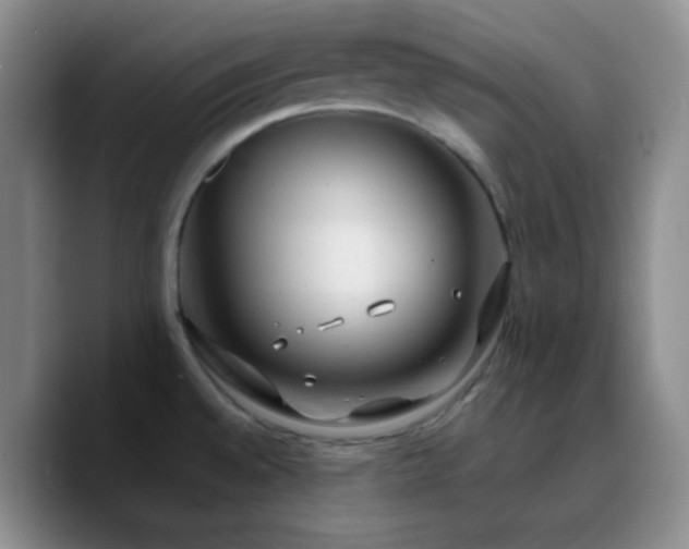 X0000090751528200707201439