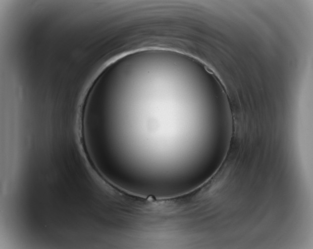 X0000090751531200707201439