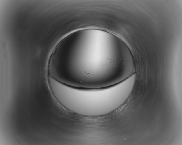 X0000090751532200707201439
