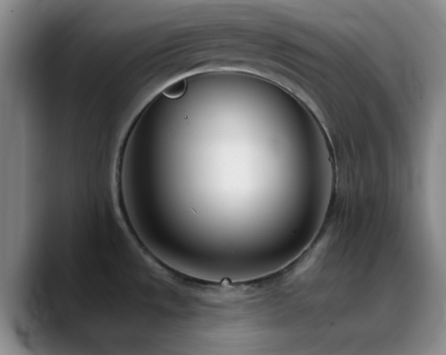 X0000090751533200707201439