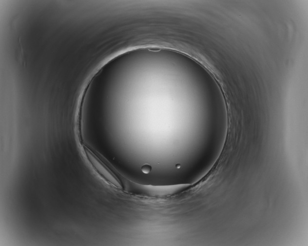 X0000090751536200707201439