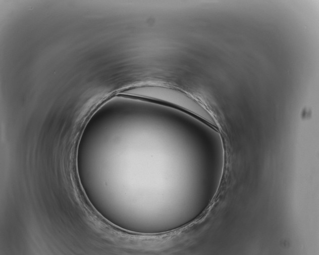 X0000090750001200707271455