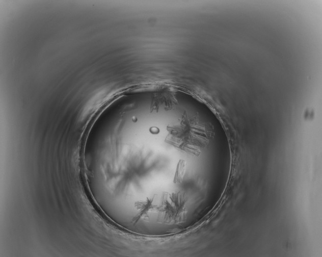 X0000090750002200707271455