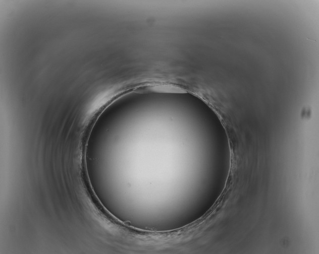 X0000090750005200707271455