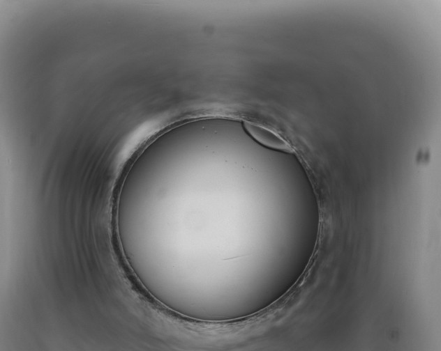 X0000090750006200707271455