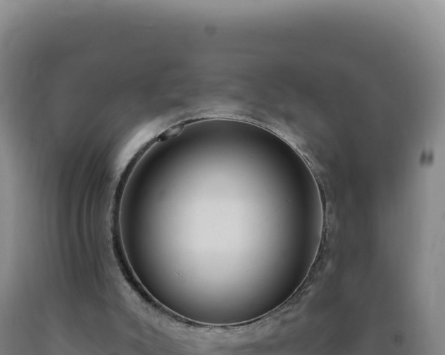 X0000090750007200707271455