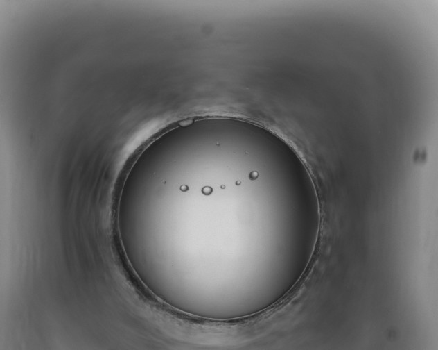 X0000090750008200707271455