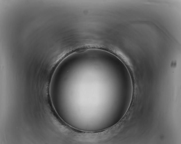 X0000090750009200707271455