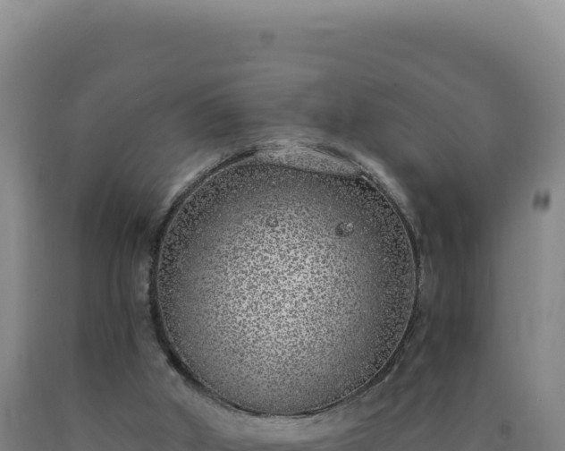 X0000090750010200707271455