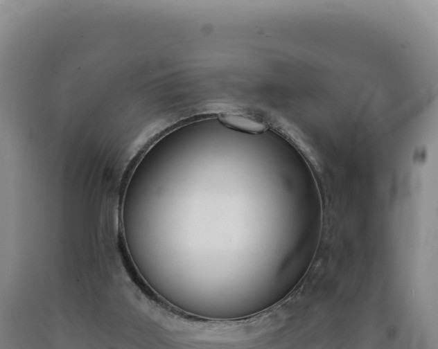 X0000090750011200707271455