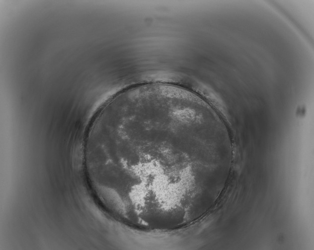 X0000090750012200707271455