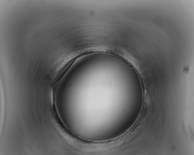 X0000090750013200707271455