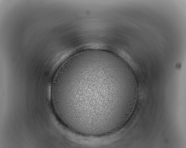 X0000090750014200707271455