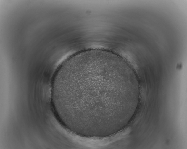 X0000090750016200707271455