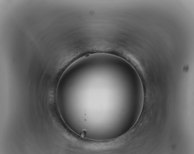 X0000090750017200707271455