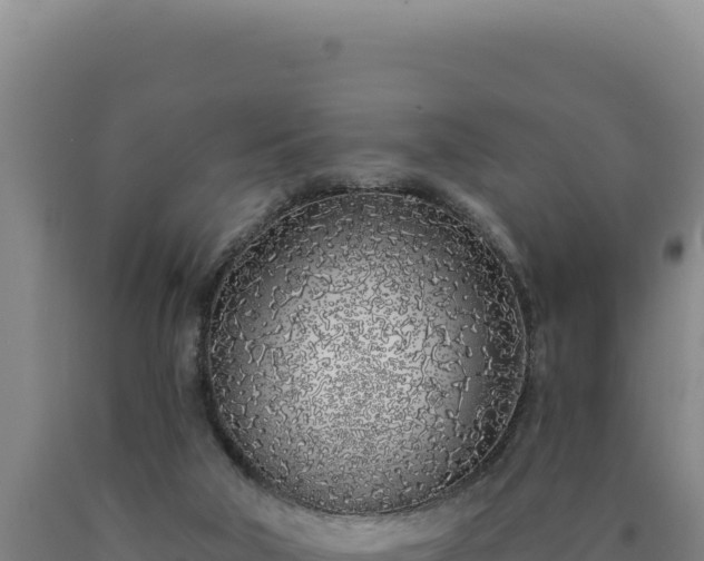 X0000090750018200707271455