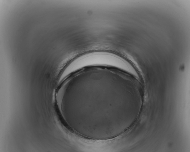 X0000090750019200707271455