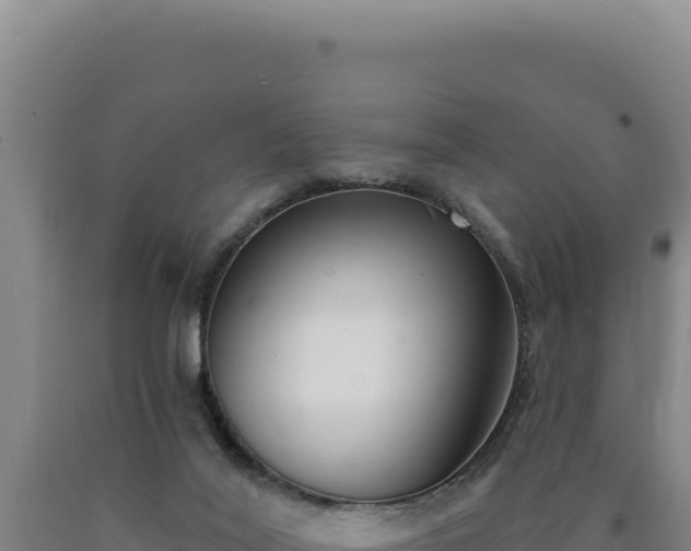 X0000090750020200707271455