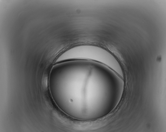 X0000090750021200707271455