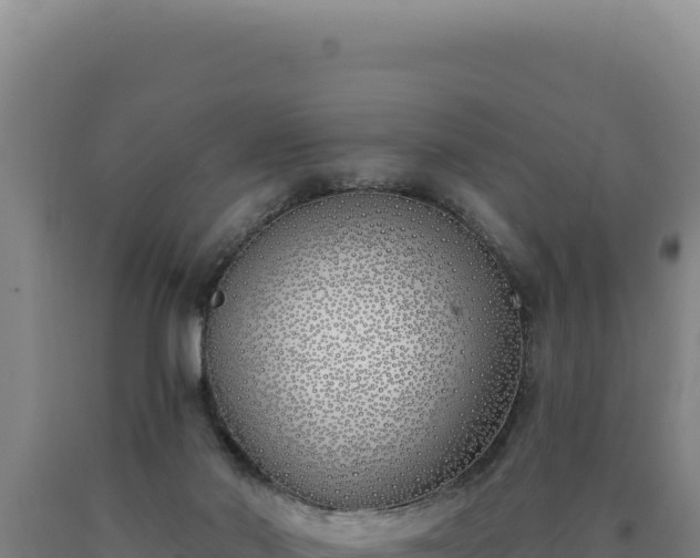 X0000090750022200707271455