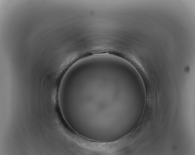 X0000090750023200707271455