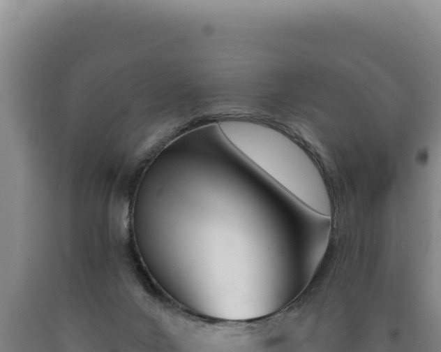 X0000090750024200707271455