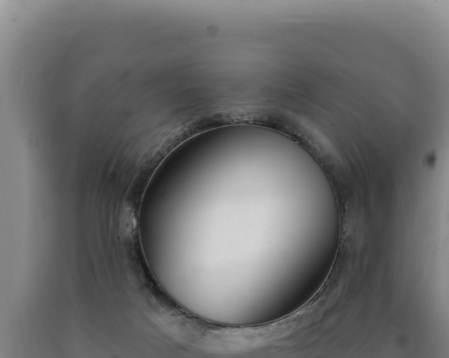 X0000090750025200707271455