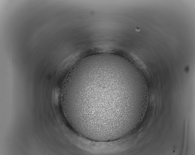 X0000090750026200707271455