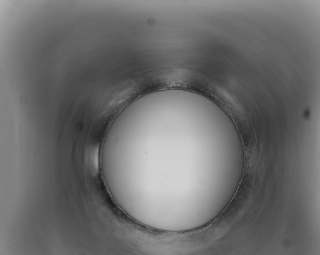 X0000090750028200707271455