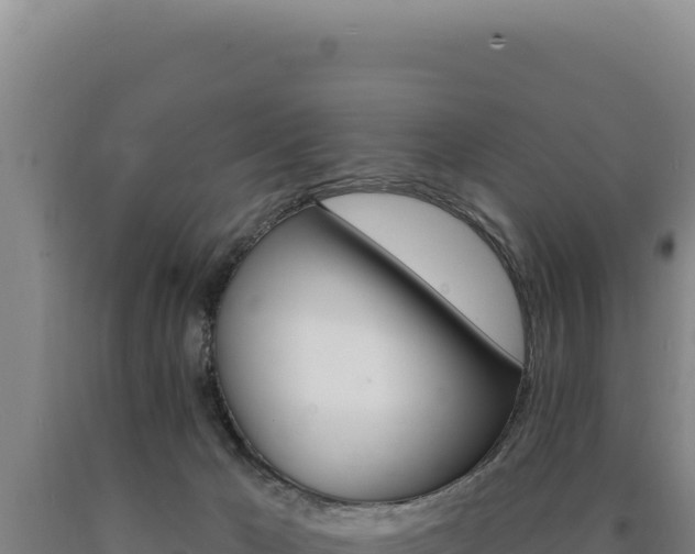 X0000090750029200707271455