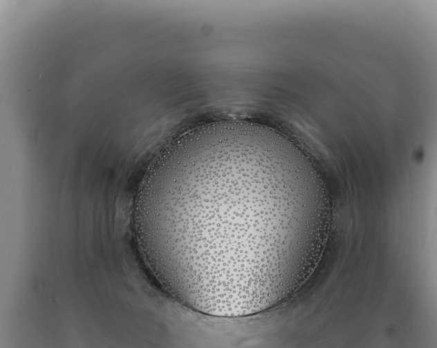 X0000090750030200707271455