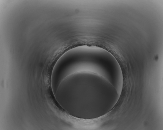 X0000090750031200707271455