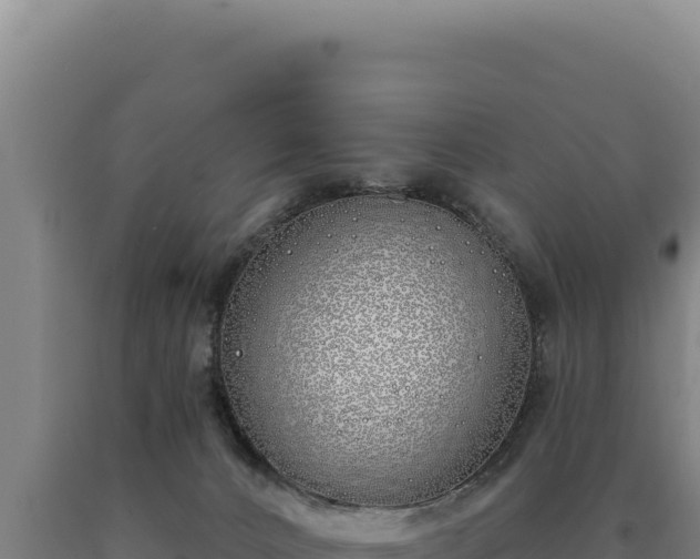 X0000090750032200707271455