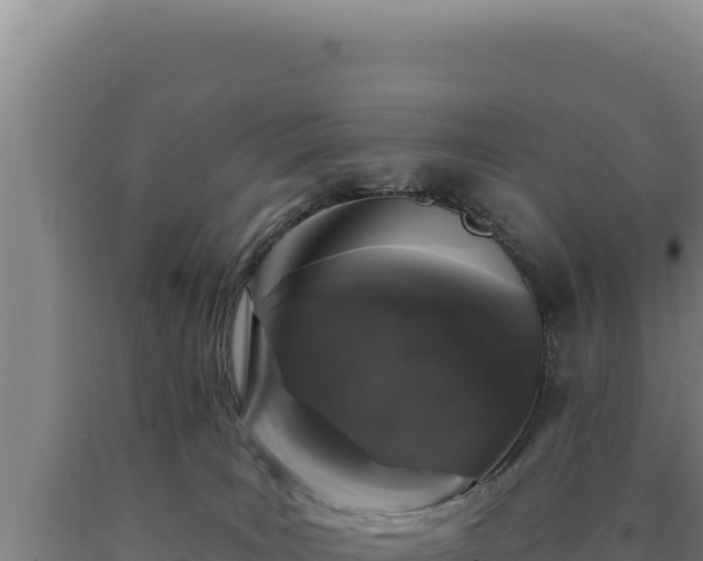 X0000090750035200707271454