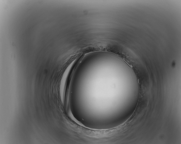 X0000090750037200707271454