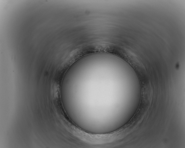 X0000090750038200707271454