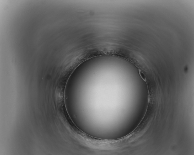 X0000090750040200707271454