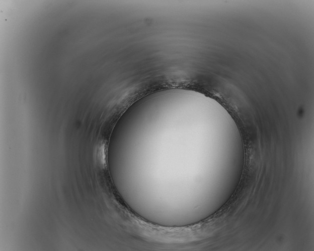 X0000090750042200707271454