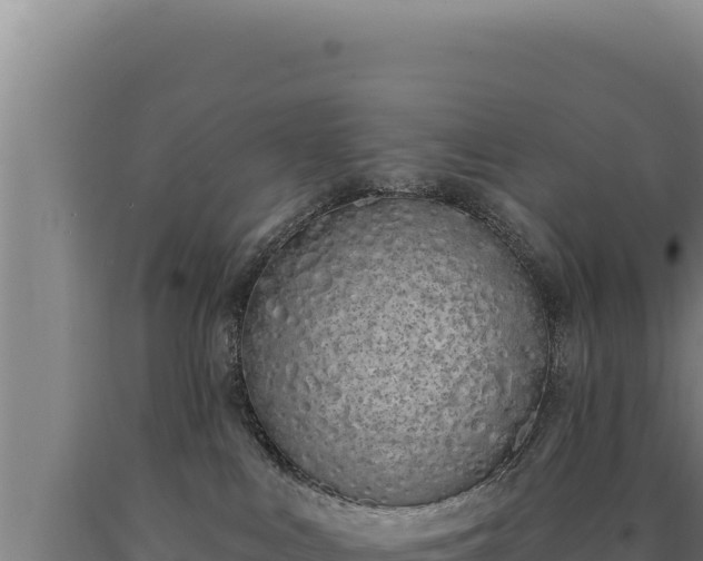 X0000090750043200707271454