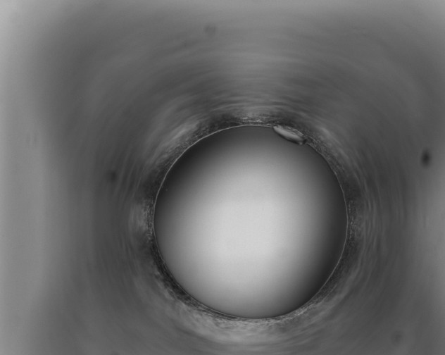 X0000090750044200707271454