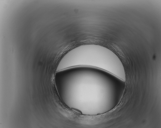 X0000090750045200707271454