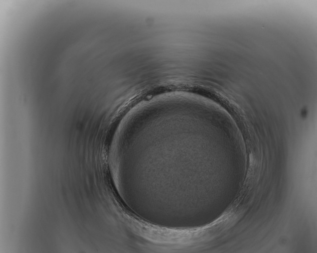 X0000090750048200707271454