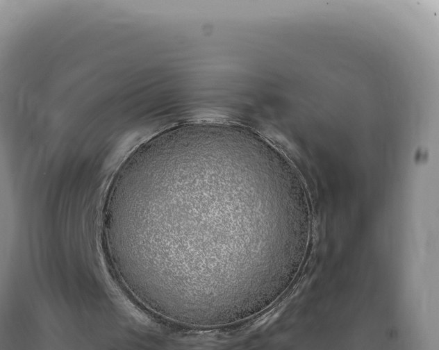 X0000090750049200707271453