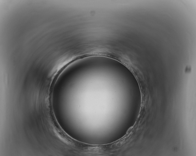 X0000090750050200707271453