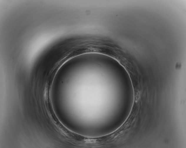 X0000090750052200707271453