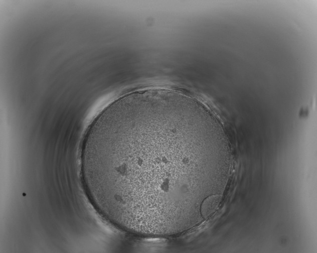 X0000090750053200707271453